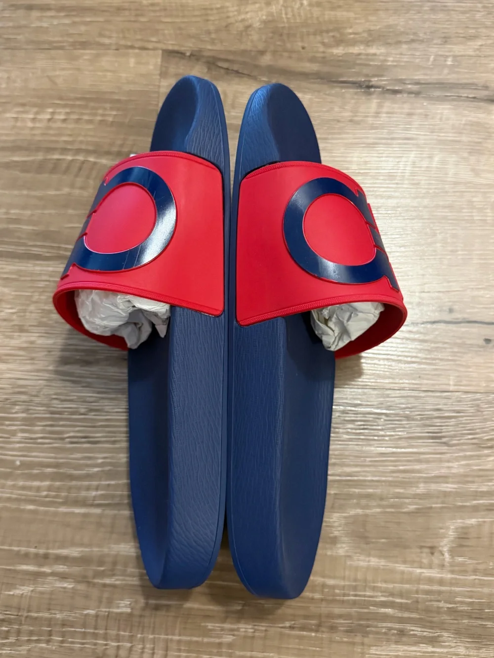 Salvatore Ferragamo Navy & Red Logo Slide Slides